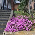 Casa Bellavista Neive